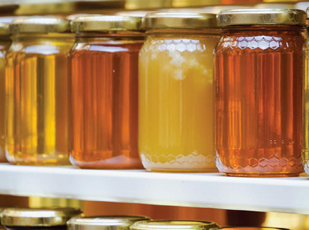 EN欧标抗菌防霉测试