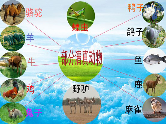 Halal清真认证
