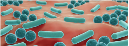 Dermatest® Microbiome-friendly微生物群友好认证印章