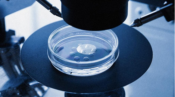 Dermatest® OECD 431  Skin corrosion皮肤腐蚀性认证