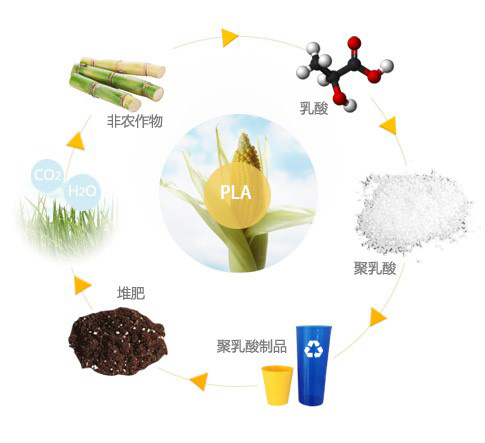 聚乳酸 PolyLactic Acid (PLA)