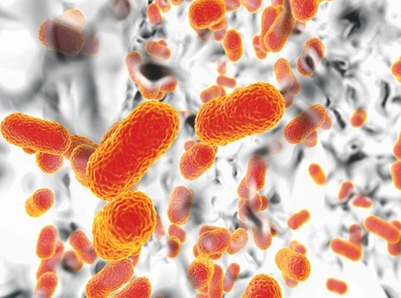 US美标抗菌防霉测试