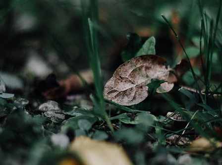 抗菌测试 生物降解