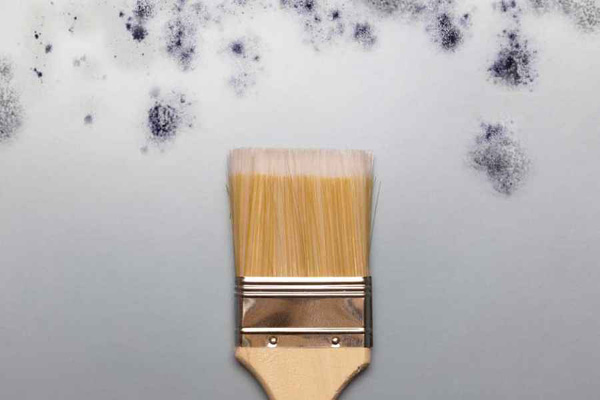 GB/T 1741漆膜耐霉菌性测试方法