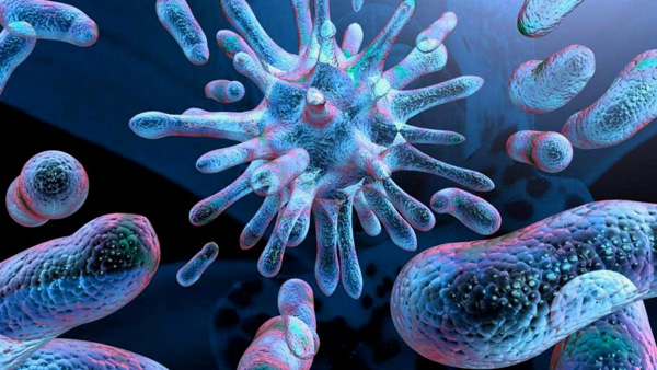 ISO 27447光催化材料抗菌活性试验