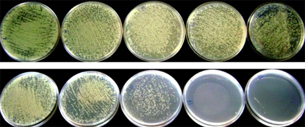 ISO 27447光催化材料抗菌活性试验