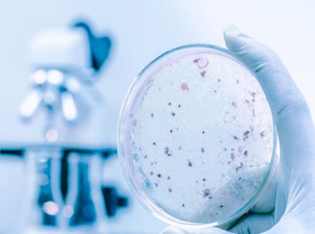 ISO 27447光催化材料抗菌活性试验