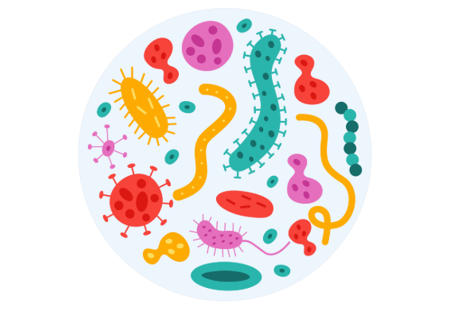 湿巾品牌如何用MyMicrobiome认证建立消费者信任？