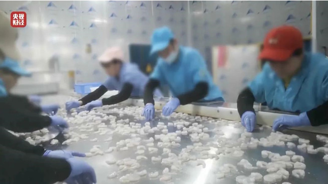 冷冻虾企业自查自筛：GB 5009.256 保水剂检测