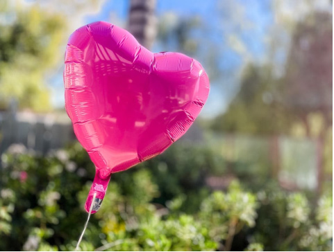 美国加州AB 847法案 2027年将全面禁售箔膜气球