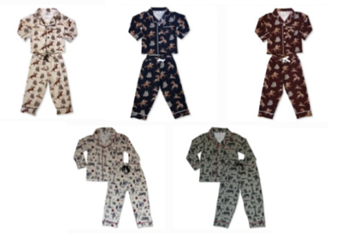 美国CPSC召回和警告案例—2025年5月1期