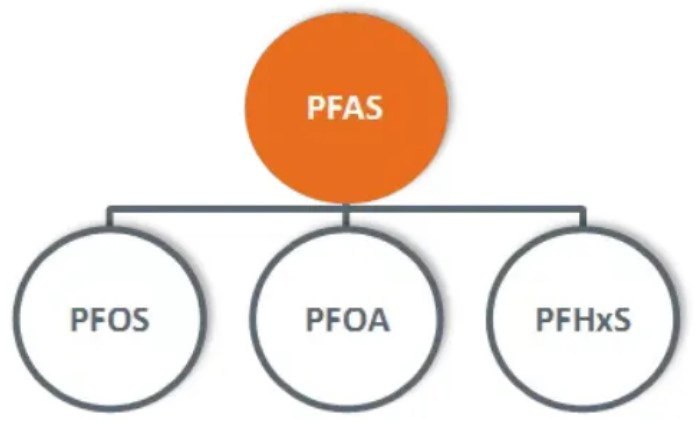 加州DTSC将含用于纺织品/皮革的含有PFASs的处理剂列为优先产品