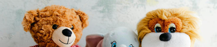 法律标 LAW LABEL |宾夕法尼亚州再次加强填充玩具注册要求