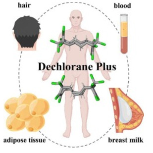 欧盟通过关于POPs法规中得克隆（DP）的新限制要求