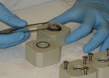 国家药品监督管理局新增化妆品5项检测方法，2026年3月1日起正式实施