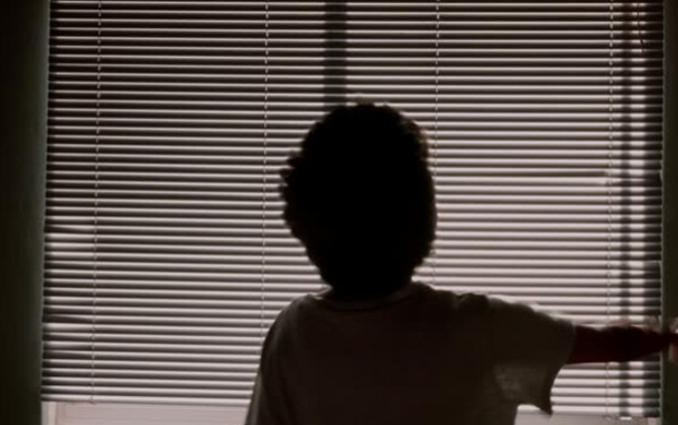 窗帘出口美国需要满足什么要求：ANSI/WCMA A100.1