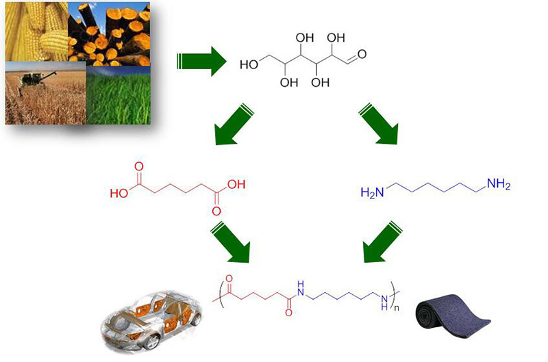 重磅消息！绿色环保高性能生物基聚酰胺内饰材料研制成功