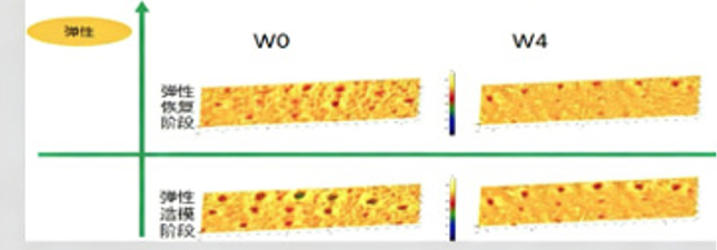 3.15曝光医美外泌体骗局：医美功效护肤品如何进行功效验证？