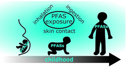 美国罗得岛州颁布《2024年全氟辛烷磺酸（PFAS）禁令法案》
